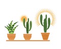 plant in pot icon logo vector illustration design