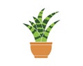 plant in pot icon logo vector illustration design