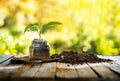 plant in pot with organic soil over nature background and sunlight