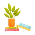 Plant pot on pile of books. Education concept. Reading concept.