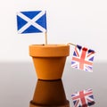 Plant pot with scottish and british flag Royalty Free Stock Photo