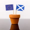 Plant pot with scottish and european flag Royalty Free Stock Photo