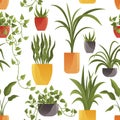 Plant in pot set seamless pattern. Cartoon flat different indoor potted decorative houseplants