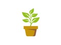 Plant in the Pot with some leaves for logo