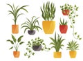 Plant in pot vector flowerpots set. Cartoon flat different indoor potted decorative houseplants