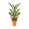 Plant pot vector icon leaf. Garden green symbol growth flower. Botanical seed stem environment indoor flora