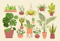 Plant in pot vector illustration set, cartoon flat different indoor potted decorative house plants for interior home or Royalty Free Stock Photo