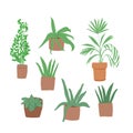 Plant in pot vector illustration set. Cartoon flat different indoor potted decorative houseplants for interior home or Royalty Free Stock Photo