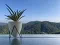 Plant pots adorn the balcony and view of the mountains, clipping path included