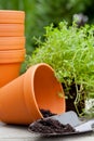 Plant pots Royalty Free Stock Photo