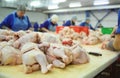 Processing poultry in the food industry. chicken