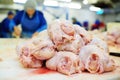 Plant for processing poultry in the food industry.