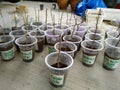 Plant propagation is the process in growing new plants from a variety of sources: seeds, cuttings, and other plant parts