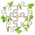 Plant puzzle