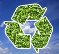 Plant recycle symbol Royalty Free Stock Photo