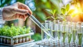 Plant Research Gloved Hand, Test Tubes, Seedlings, Lab Experiment Royalty Free Stock Photo