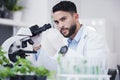 Plant science, microscope and man in a lab with sustainability test tube and botany research. Leaf growth, study and