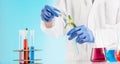 Plant sciences in lab Royalty Free Stock Photo