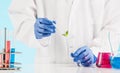Plant sciences in lab Royalty Free Stock Photo