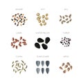 Plant seed flat vector icons set