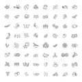 Plant seed and nuts vector icon set