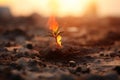 Plant seedling on fire. Global warming and wildfire concept