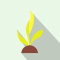 Plant seedling flat icon