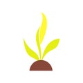 Plant seedling flat icon