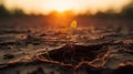 Plant seedling growing on cracked soil at sunset. Earth day concept