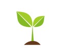 Plant seedling icon Royalty Free Stock Photo