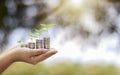 Plant the seedlings on a pile of coins or money in human hands, including natural green backgrounds, agricultural concepts. Royalty Free Stock Photo