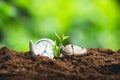 Plant Seeds Planting trees growth,The seeds are germinating on good quality soils in nature Royalty Free Stock Photo