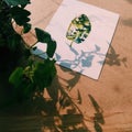 Plant shadow on drawing Royalty Free Stock Photo