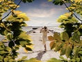 Plant shadow  sun light beam and   women on pier wild field  flowers walk in  forest at sunny day blue sky  and sea nature landsca Royalty Free Stock Photo