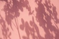 Plant shadows on the pink wall for background