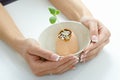 Plant shoot in eggshell in bowl cupped by hands