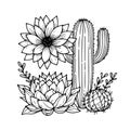 plant simple cactus coloring page printable succulent coloring page, desert cactus coloring page