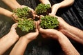 Plant soil, hands and diversity with teamwork by dark surface for nature and environment future for Earth Day Royalty Free Stock Photo