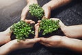 Plant soil, hands and global with teamwork by dark surface for nature and environment future for Earth Day Royalty Free Stock Photo