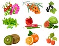 Plant sources of vitamin C