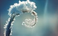 A plant with a spiral covered with ice and snow on a blue winter background Royalty Free Stock Photo
