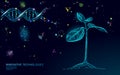 Plant sprout biotechnology abstract concept. 3D render seedling tree leaves DNA genome engineering vitamin supplement Royalty Free Stock Photo