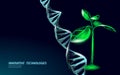 Plant sprout biotechnology abstract concept. 3D render seedling tree leaves DNA genome engineering vitamin supplement Royalty Free Stock Photo