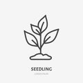 Plant sprout flat line icon. Vector thin sign of environment protection, ecology concept logo. Agriculture illustration