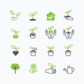 Plant and sprout growing icons flat line design vector