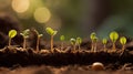 plant sprouting seed Royalty Free Stock Photo
