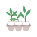 Plant sprouts in eggshell flat vector illustration. Greenery, houseplant sprigs. Gardening, horticulture, plant breeding