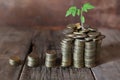 Plant and stacks of coins Royalty Free Stock Photo