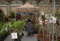 Plant Stall at Pollice Verde Royalty Free Stock Photo