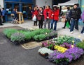 Plant Stall at Pollice Verde